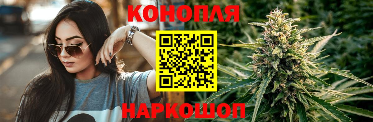 Шишки марихуана SATIVA & INDICA  Вход с VPN  Бошки Шишки план  Шишки марихуана сатива  Губаха  Канабис план 